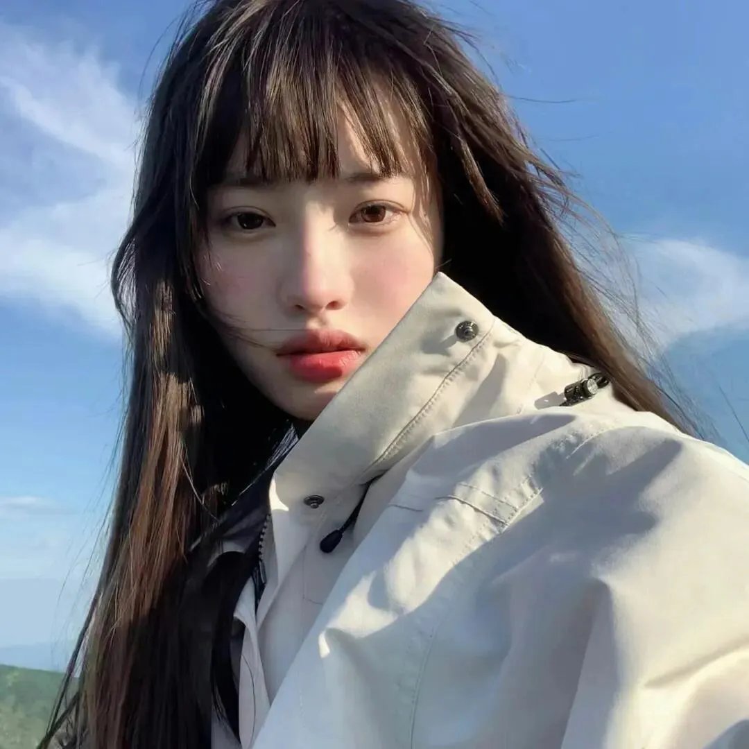树袋熊