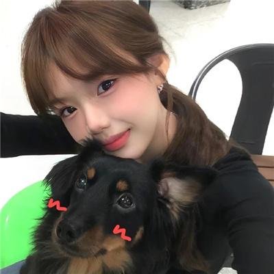 女孩的灵缇犬